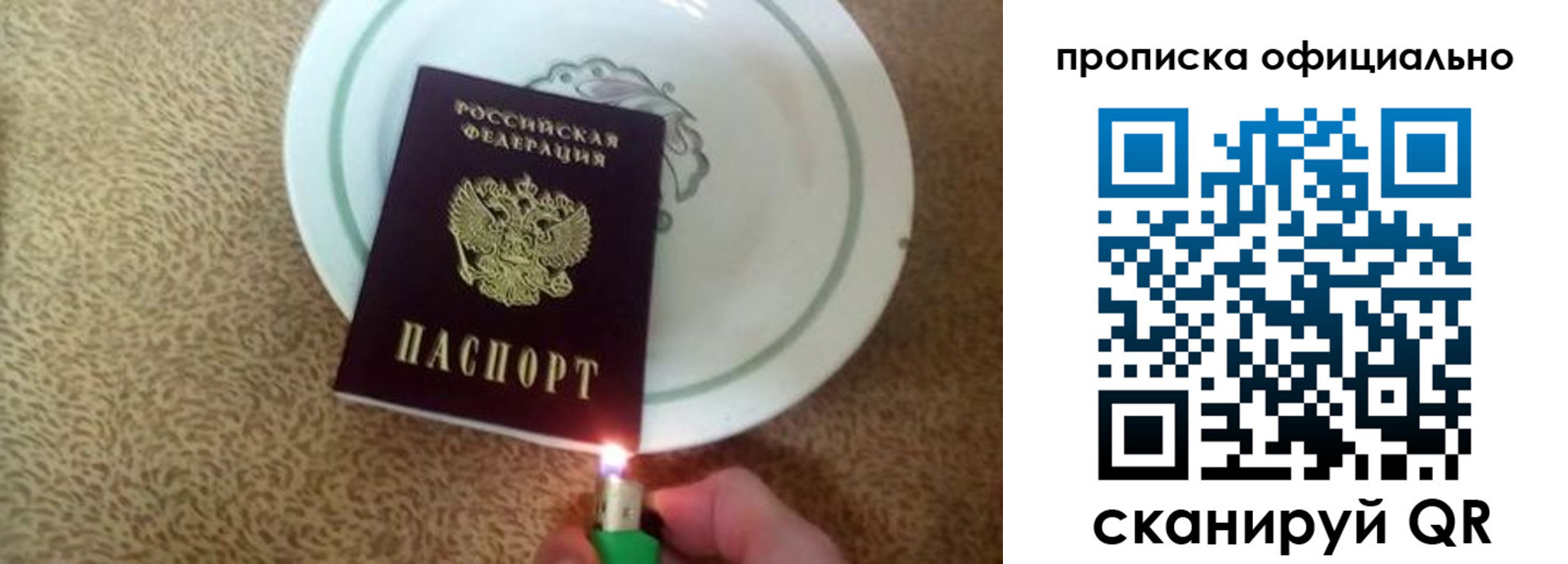прописка гарантия в Солнечногорске